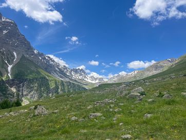 IMG_6055.jpg