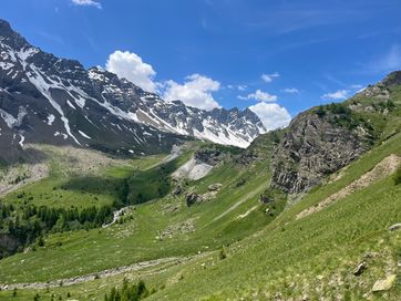 IMG_6061.jpg