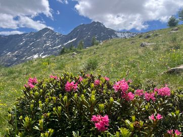IMG_6067.jpg