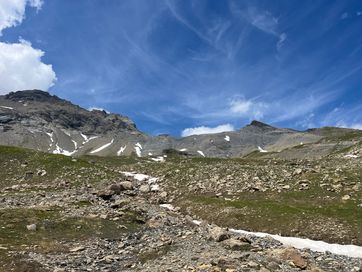 IMG_6074.jpg