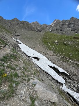 IMG_6086.jpg