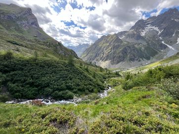 IMG_6090.jpg