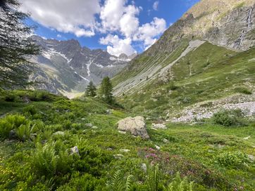 IMG_6091.jpg