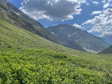 IMG_6094.jpg