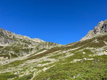 IMG_6106.jpg