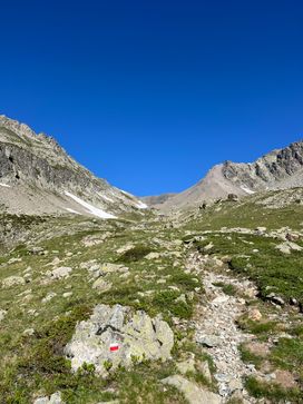 IMG_6108.jpg