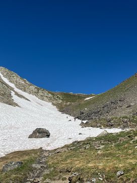 IMG_6120.jpg