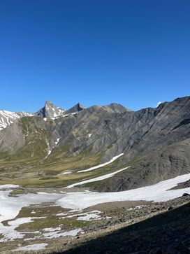 IMG_6123.jpg