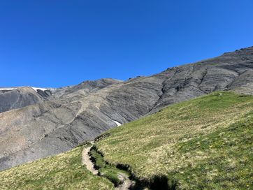 IMG_6125.jpg