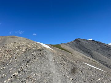 IMG_6129.jpg