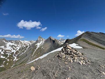 IMG_6131.jpg