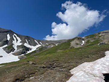 IMG_6135.jpg