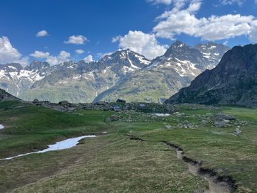IMG_6137.jpg