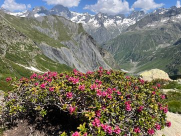 IMG_6140.jpg