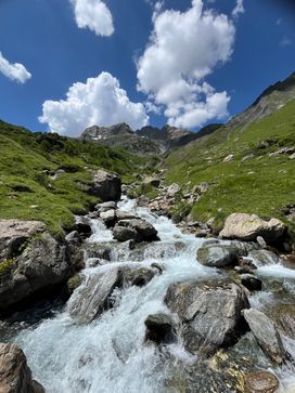 IMG_6144.jpg