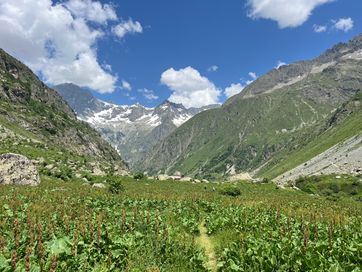 IMG_6146.jpg