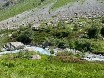 IMG_6147.jpg