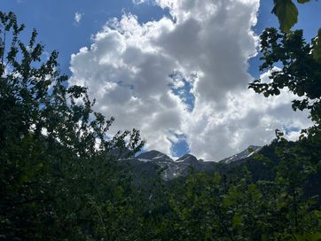 IMG_6155.jpg