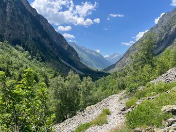 IMG_6156.jpg
