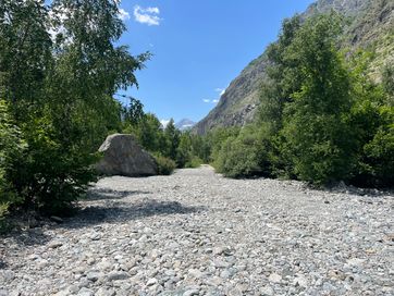 IMG_6157.jpg