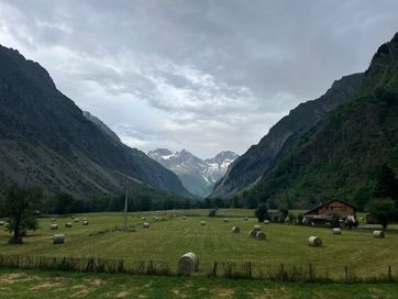 IMG_6185.jpg