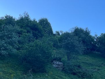 IMG_6192.jpg