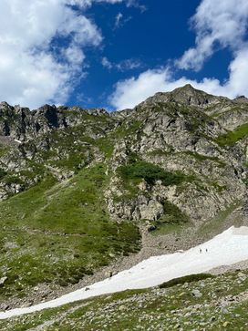IMG_6210.jpg