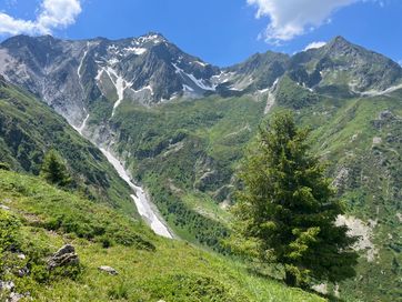 IMG_6223.jpg