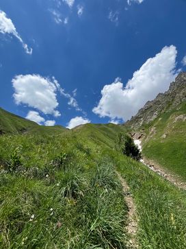 IMG_6234.jpg