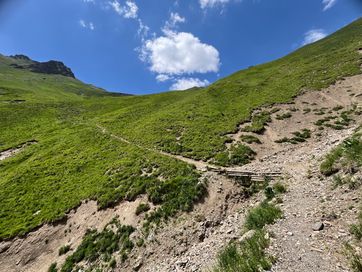 IMG_6235.jpg