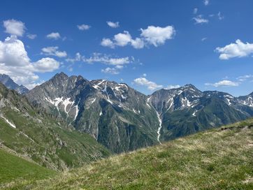 IMG_6236.jpg