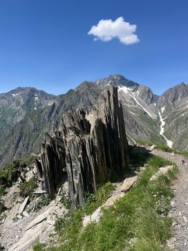 IMG_6242.jpg