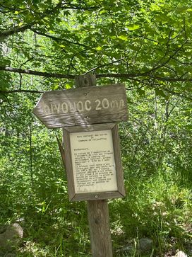 IMG_6250.jpg