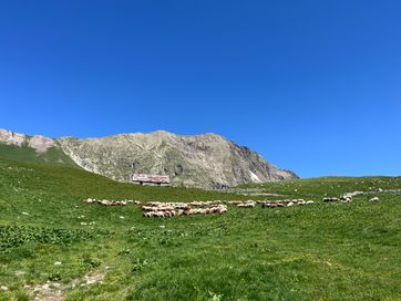 IMG_6277.jpg