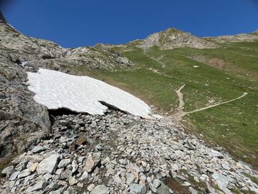 IMG_6281.jpg