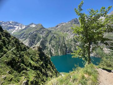 IMG_6289.jpg