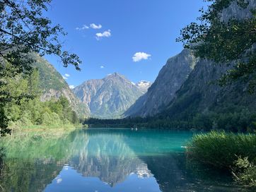 IMG_6296.jpg