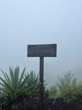 Pic IMG_2237.jpg