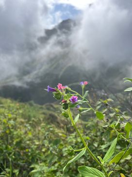 Pic IMG_2245.jpg
