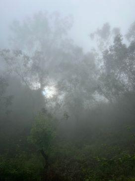 Pic IMG_2248.jpg