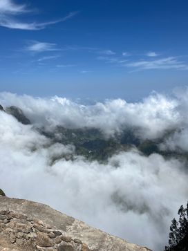 Pic IMG_2293.jpg