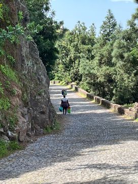 Pic IMG_2388.jpg