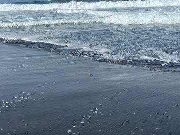 Pic IMG_2541.jpg